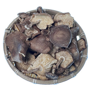 云南大理野生香菇香蕈深山采摘自然晒干非人工种植椴木香菇干货