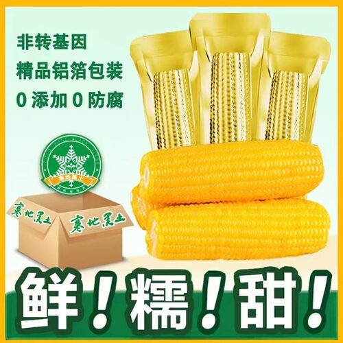 试吃3支东北新鲜现摘粘糯玉米拉丝黄糯玉米12支*250g每支