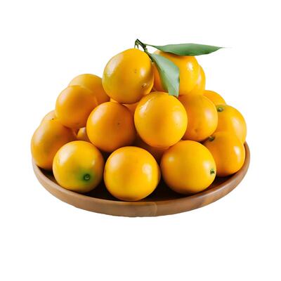 广西融安脆蜜金桔香甜多汁