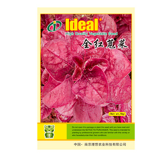 四季全红苋菜种籽速生耐热长寿菜籽易种农家汉菜种子阳台蔬菜种孑