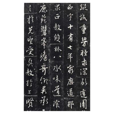 二玄社怀仁集王羲之行书圣教序电子版高清字帖打印素材文件