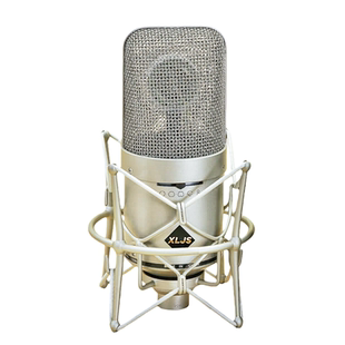 Xiaolin M149 Tube Condenser Mic for Pro Studio Recording
