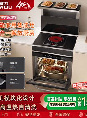威力正品单灶集成灶500mm60cm小户型家用厨房电磁炉消毒柜一体灶