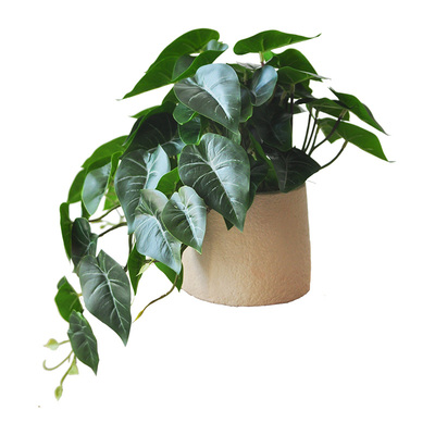 自然感仿真垂吊植物家居书房装饰