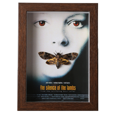 【沉默的羔羊】海报同款鬼脸天蛾昆虫蝴蝶标本相框摆件收藏家礼物