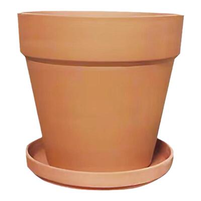 室内植物带托盘红陶花盆清仓包邮