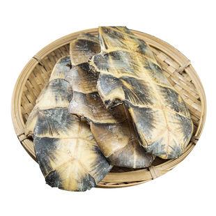 龟板中药材250g 生龟板 中药龟板生晒龟下板龟底板正品新货包邮