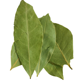 纯正香叶天然月桂叶火锅底料优质调料香辛料大全500克250g包邮