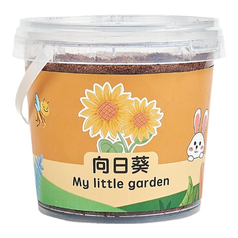 神奇植物罐头植物西红柿向日葵番苔藓微景观