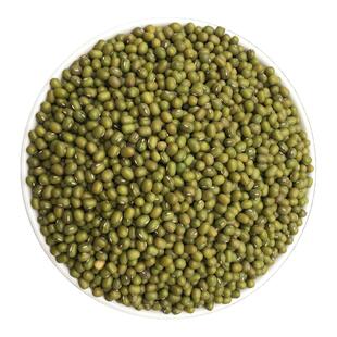 东北绿豆种子绿小豆种孑非转基因春夏早熟高产耐旱耐高温大田种籽