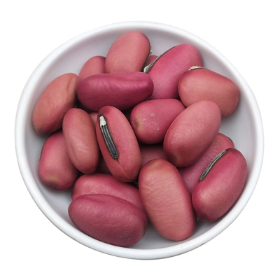 天然中药材籽新货500g包邮红刀豆