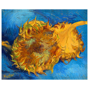 大师油画丙烯临摹世界名画色彩临摹卡少儿美术油画画室临摹卡教材