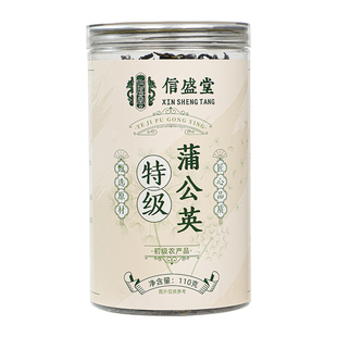 特级蒲公英散结茶正品野生官方旗舰店根消除结清节热解毒去火茶