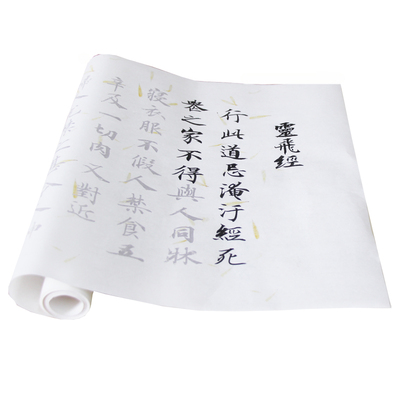 灵飞经放大版中楷描红长卷字帖