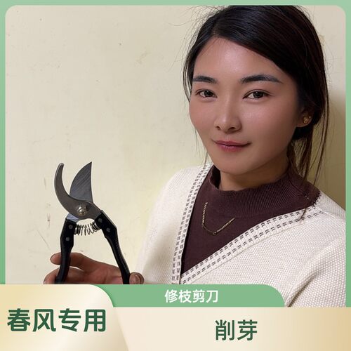 春风专用(削芽）园艺修枝剪刀家用果树修剪工具强力省力园艺用品