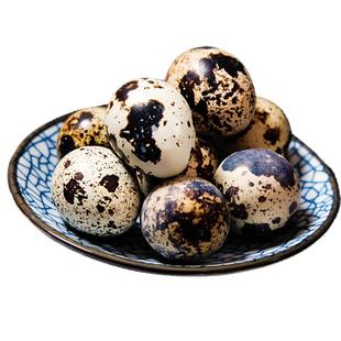 生鹌鹑蛋新鲜50枚农家散养鸟蛋清水火锅辅食