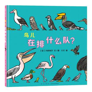 【新书】鸟儿在排什么队？——精装 3岁以上 大村知子队列系列 鸟类习性 培养自然兴趣  科普趣味 蒲蒲兰绘本馆旗舰店