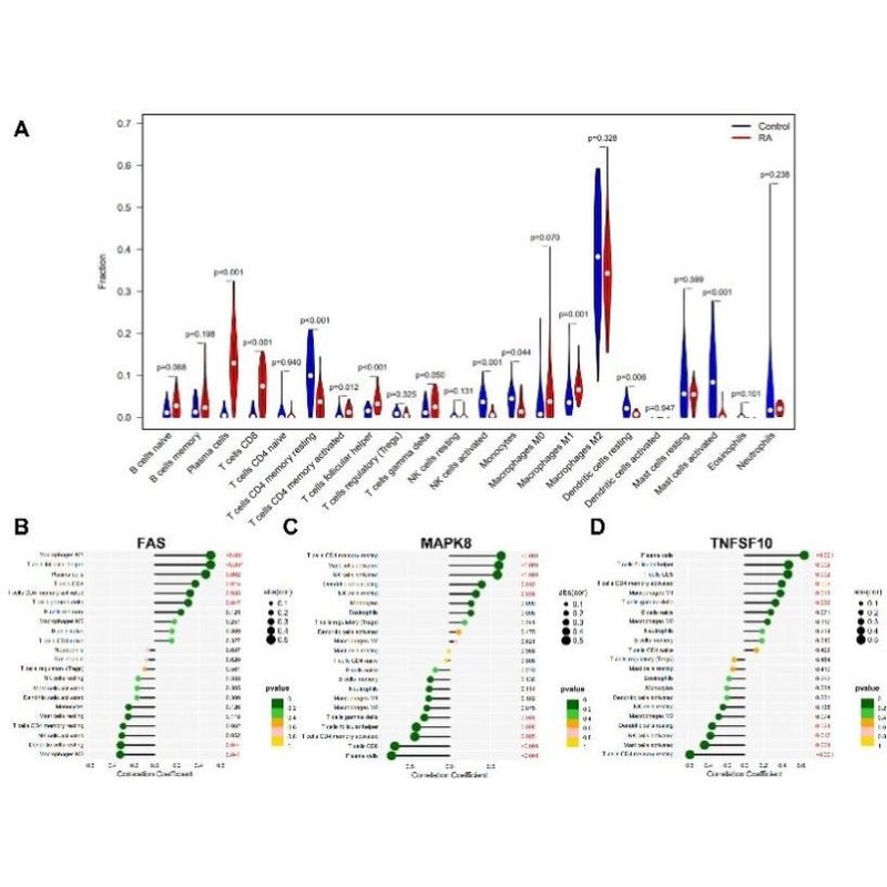 医学生信分析 单细胞测序生信3-5思路 TCGA数据库挖掘KEGG,GO分析