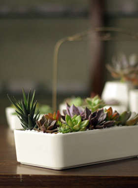 简约特大号白色创意花盘多肉拼盘花盆大长方形盆栽陶瓷肉肉植物盆
