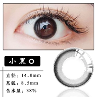 Сяо Хей Хуан (14,0 мм) ясен на верхних глазах, а увеличенные глаза не внезапно