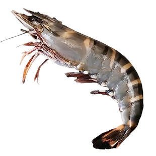 黑虎虾鲜活超大速冻进口老虎虾特大基围虾盐冻斑节对虾海鲜礼盒装