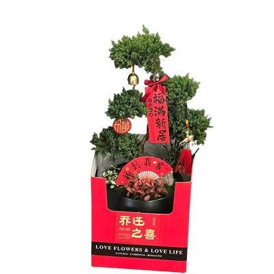 五层塔松盆栽送老师乔迁开业祝寿