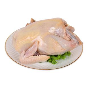 冷冻三黄鸡农家散养走地鸡整只新鲜现杀白条鸡童子鸡顺丰包邮