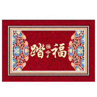 入户门地垫进门高级感脚垫门口垫子新款家用玄关高端耐脏防滑地毯