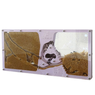 蚂蚁城堡工坊王国庄园别墅家园活物宠物沙巢蚁村沙堡蚁后送工具