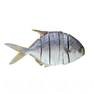 新鲜金鲳鱼干淡晒金昌鱼干纯肉风干金仓鱼干整条海鲜特产水产干货