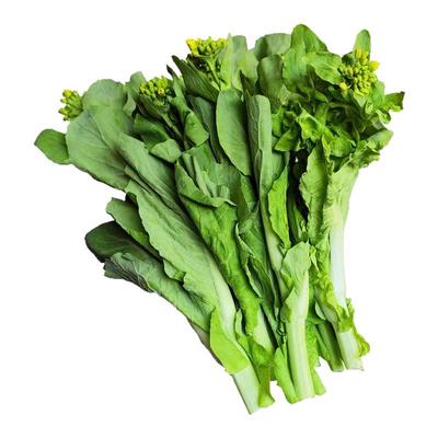 贵州本地新鲜甜白菜苔农家露天