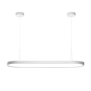 护眼学习专用台灯家用教室灯全光谱儿童书桌阅读吊式大路灯防近视