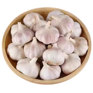 产地价山东紫皮大蒜头新鲜干蒜金乡大蒜批发价包邮