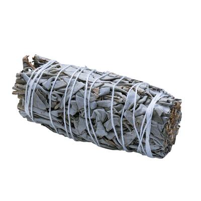 Runyangshi美国加州白鼠尾草天然