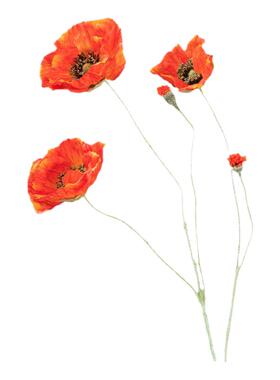 米子家居罂粟花假花仿真花