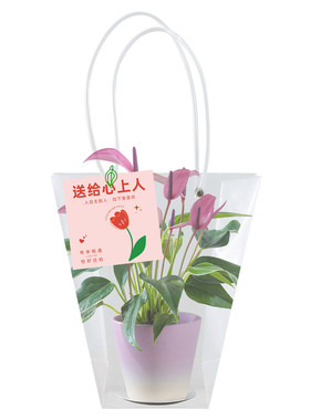 绿植礼品袋教师情人节贺卡