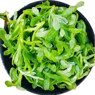 新鲜鼠曲草现摘清明菜清明草佛耳草绒毛草鼠麴田艾草清明果团材料