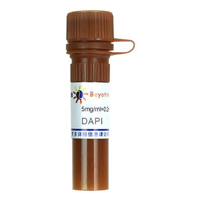 碧云天Beyotime C1002 荧光染料DAPI 5mg/ml×0.2ml