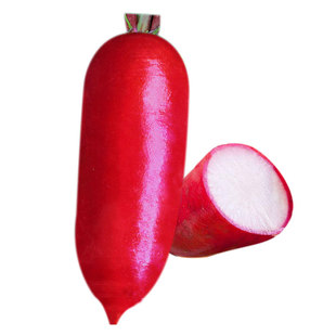 老不糠水萝卜种子种籽红皮水果罗卜籽种白心大全菜种红蔬菜孑子