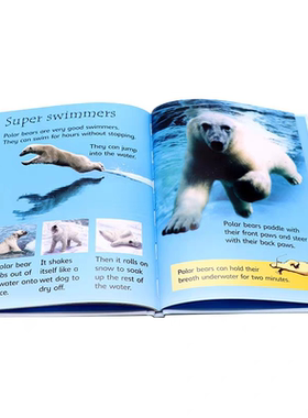 尤斯伯恩初学者系列 Usborne Beginners History/Nature精装原版初探科学历史自然动物10册礼盒套装英文亲子阅读英语启蒙科普绘本