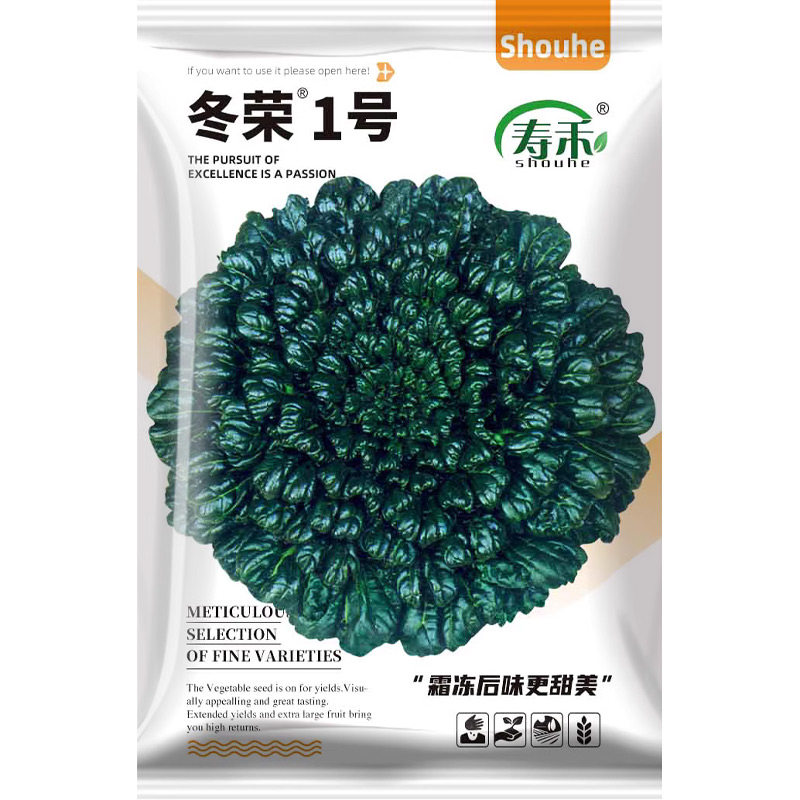 冬天乌塌菜种子子黄心乌秋冬季可种植乌塔籽种种籽孑菜籽菜种