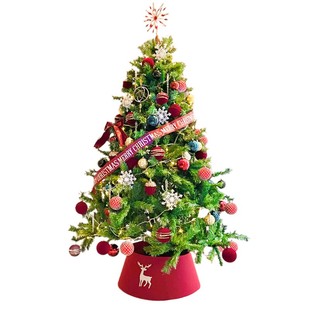 圣诞树鲜活真树挪威云杉树苗客厅室内装饰诺贝松四季常青耐寒绿植