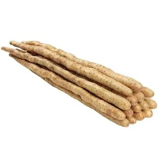 铁棍山药种子药蛋山药豆怀山种子白色野山药种籽四季种植