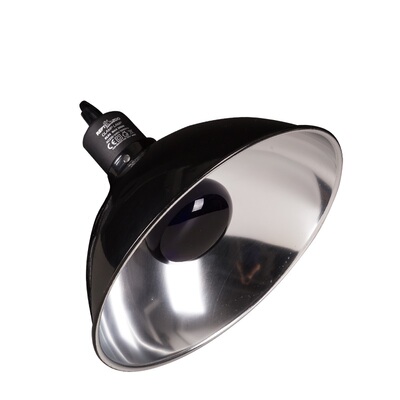 reptizoo爬宠灯罩乌龟晒背灯