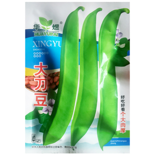 大刀豆种子刀巴豆种籽春夏季耐热四季蔬菜挟剑豆特长大刀豆角种孑