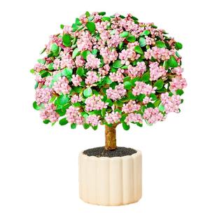 金枝玉叶盆栽老桩多肉办公室内阳台绿植物客厅四季好养开花卉盆景