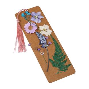 当天发货开发票干花书签手工diy材料包学生自制手工制作流苏空白手绘作画卡片精致树叶花植物标本