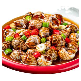 麻辣花螺500g藤椒香辣小海鲜海螺肉香螺凉菜网红小吃餐饮预制菜