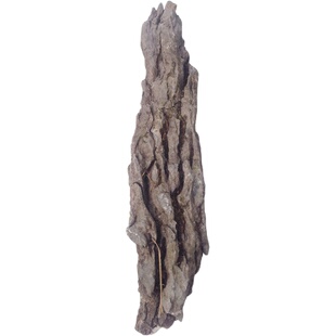 天然石英石造景石材盆景石抱附树石树桩六月雪罗汉松庭院摆件石头