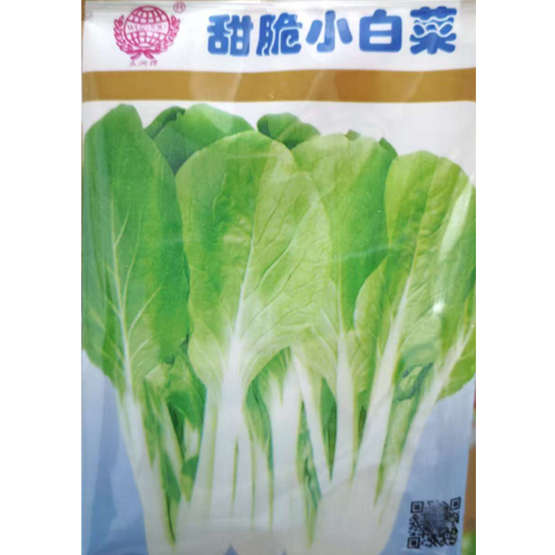 甜脆小白菜种子四季小白菜耐热白梗青菜农家阳台盆栽蔬菜种籽孑